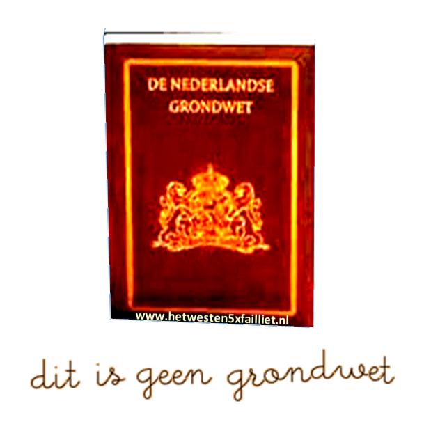 dit is geen nederlandse grondwet artikel 50